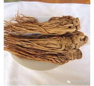 杞子炖羊脑，归杞猪腰偏方治癫痫