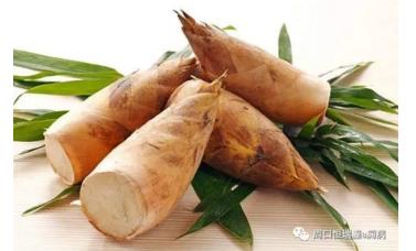 杞子炖羊脑，归杞猪腰偏方治癫痫