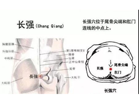 长强穴